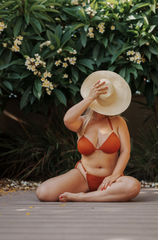 Copper PantyTop Set